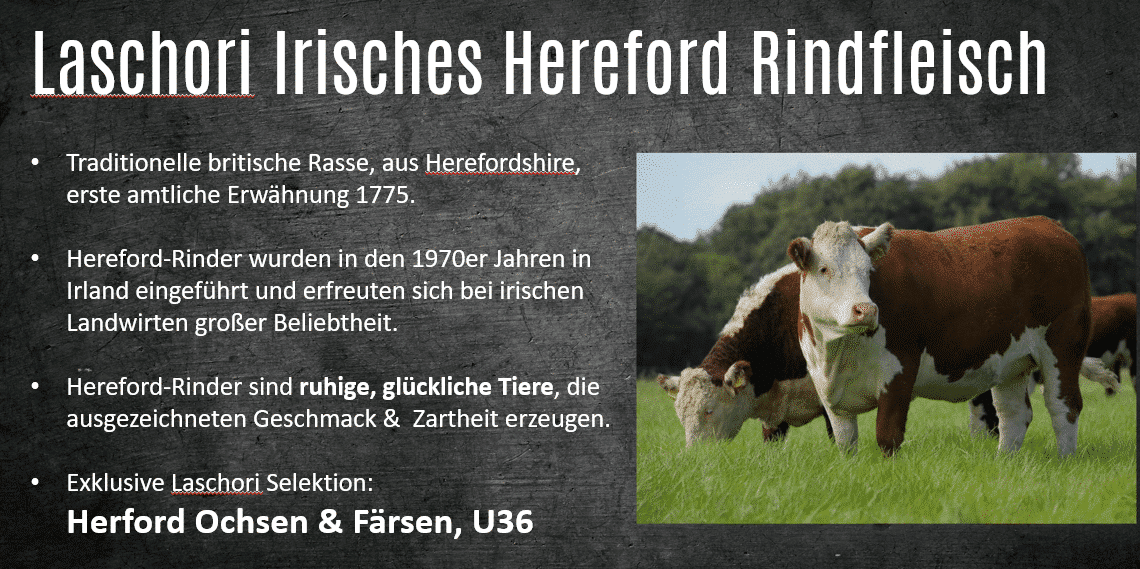 Irisches Hereford Rinderfilet Chateaubriand 